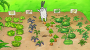 Bunny Hunt 031