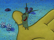 Plankton! 060