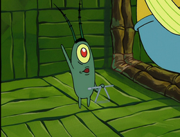 The missing bottom of Plankton's triangle