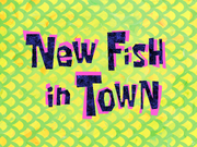 New Fish in Town