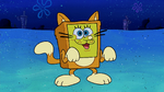 Traje de gato