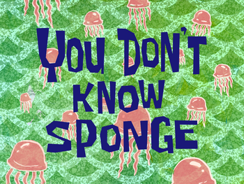 You Don't Know Sponge title card