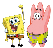 Sponge and Pat