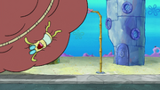 Moving Bubble Bass 114