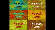 Variants for the "Two Weeks Later" time card