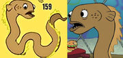 165 evolution