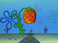 spongebob squarepants home sweet pineapple