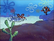 Spongebob-Suds Early Bikini Bottom.jpg (473 KB) Bikini Bottom in Season 1.