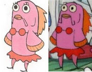 14 evolution