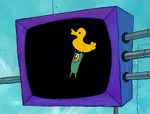 Plankton 3