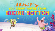 You Know You're From Bikini Bottom When... 08