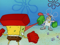 SpongeBob and Sandy doing karate.