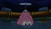 Whirly Brains 076