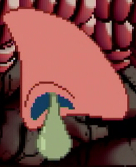 Giant nose