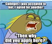 Why did you ask for it example