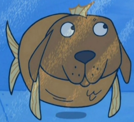 Dogfish