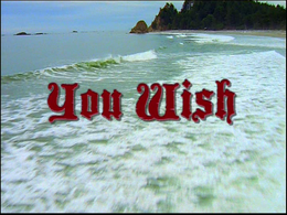 You Wish title.png