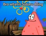 An example of a Subaru meme.