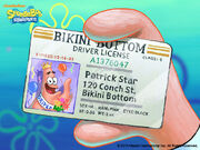 SIM Patrick