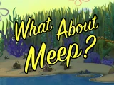 What About Meep?