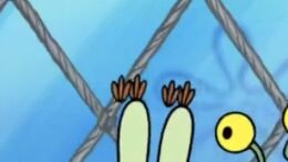 Mr Krabs' duplicate eyelashes