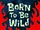 Born to Be Wild/transcript