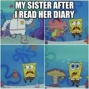 Diary