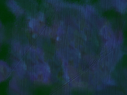 "SCARY" title card background.