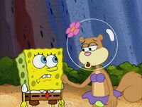 SpongeBob apologizes to Sandy for acting like a jerk at Karate Island and she forgives him.
