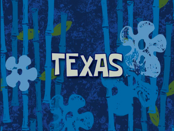 Texas voice-over title card
