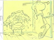 Tears sb dfp.jpeg (95 KB)