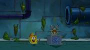 The Sewers of Bikini Bottom 136