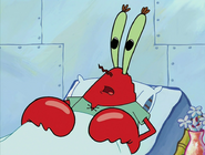 Born Again Krabs 045