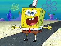 As Seen on TV 080.png