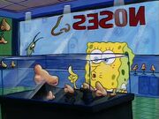 Vlcsnap-2011-02-23-23h18m37s15.jpg (31 KB) Noses