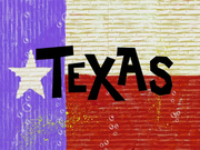 Texas title card