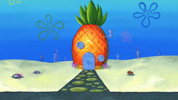 Salty Sponge 001