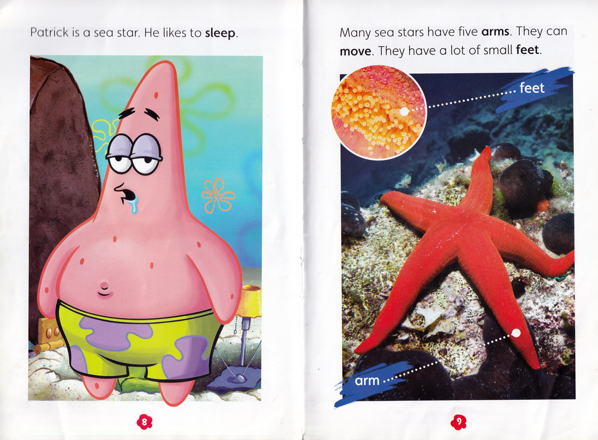 Do starfish have arms or legs, and how many do they have