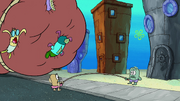 Moving Bubble Bass 116