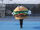 The Krabby Patty Chronicles: Flipper Finds a Sport