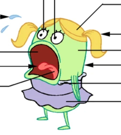 Little girl Encyclopedia SpongeBobia Fandom