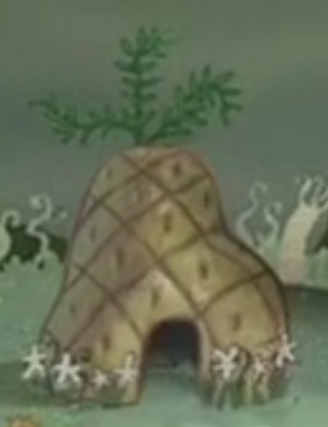 Patrick Star's house, Encyclopedia SpongeBobia