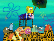 SpongeGuard on Duty 159