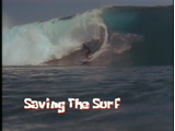 Saving the Surf/transcript