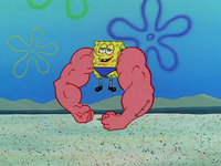 MuscleBob BuffPants 091