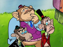 Chimps ahoy.jpg