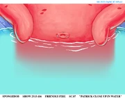 Patirck.png (2,66 MB) Close-up of Patrick in Squidward's tub.
