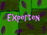 Experten