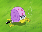Caparazón de caracol