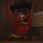 Крейг Маммолтон